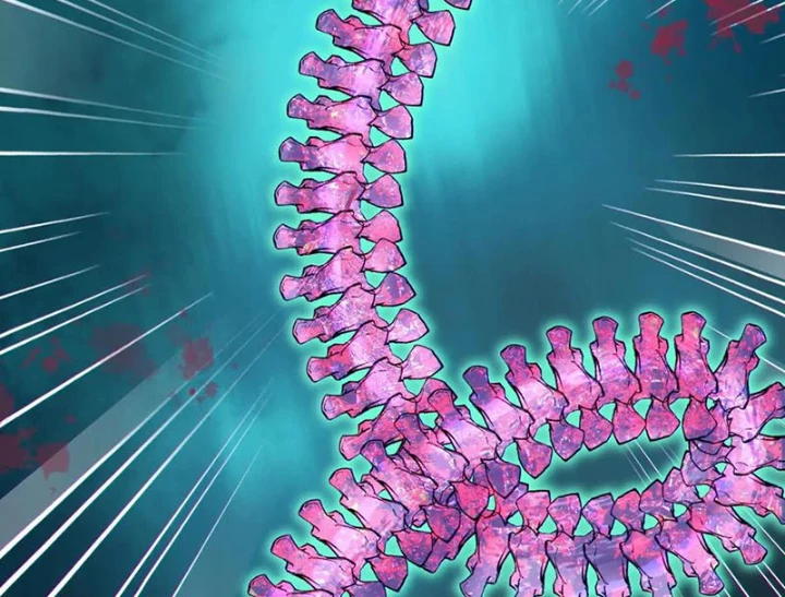 Dị Chủng Hắc Đản Chapter 23 - 137