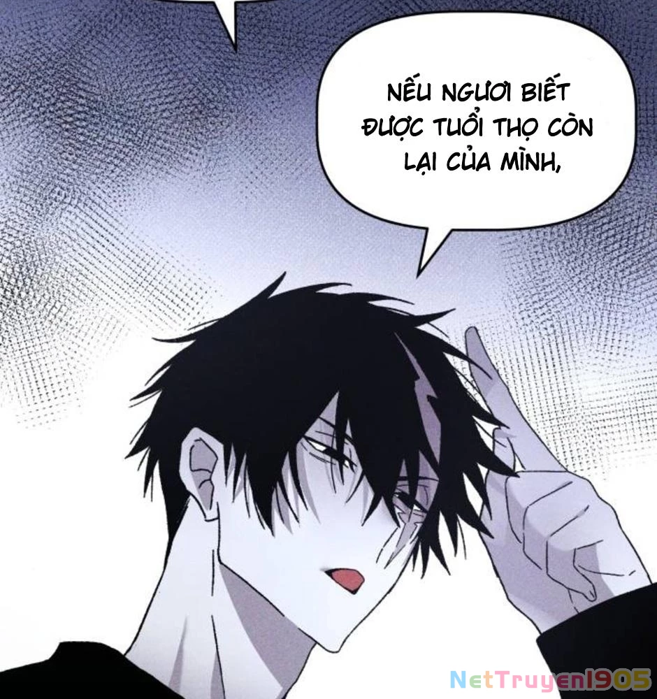 Dự Định Sát Nhân Chapter 19 - 49