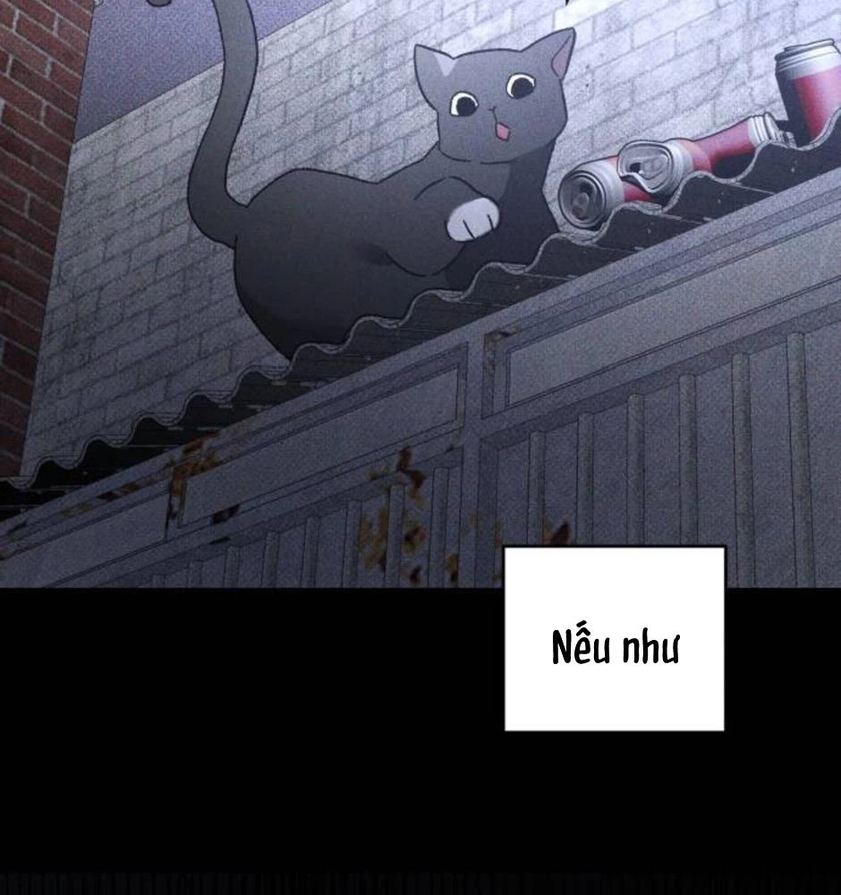Dự Định Sát Nhân Chapter 19 - 149