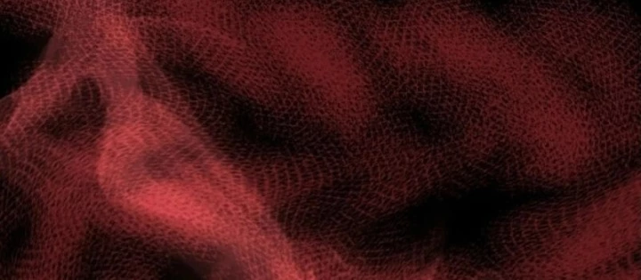 Hồi Sinh Huyết Mạch Nam Cung Chapter 12 - 66