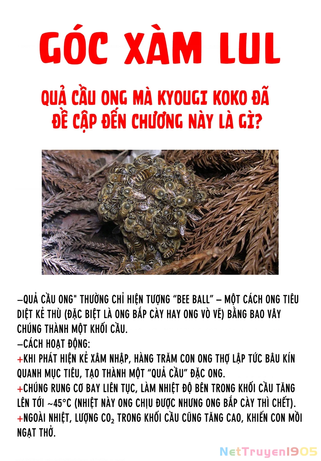 Kanan-Sama Dễ Dụ Thật Đấy! Chapter 115 - 10