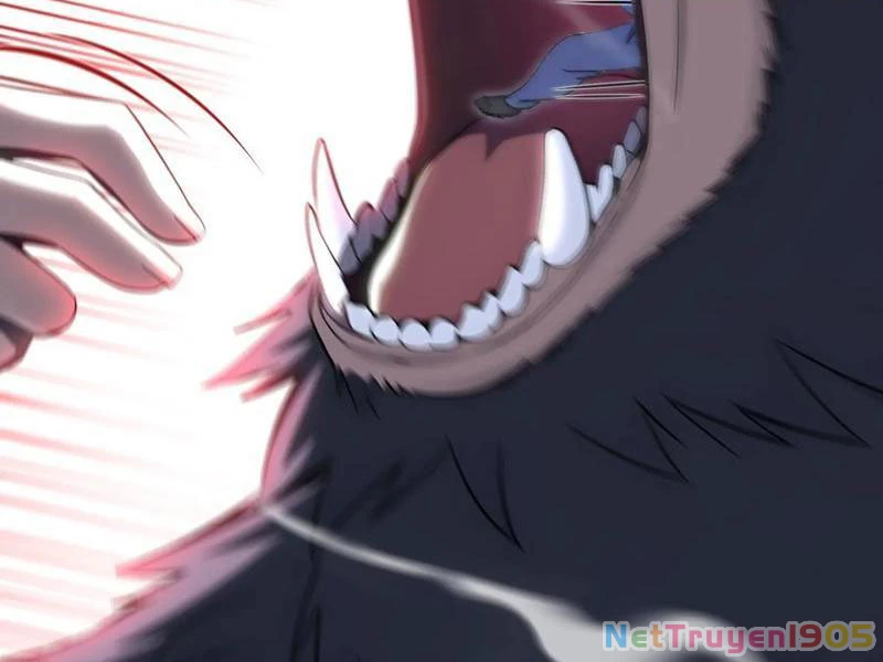 Đệ Nhất Ngự Thú Sư Chapter 82 - 53