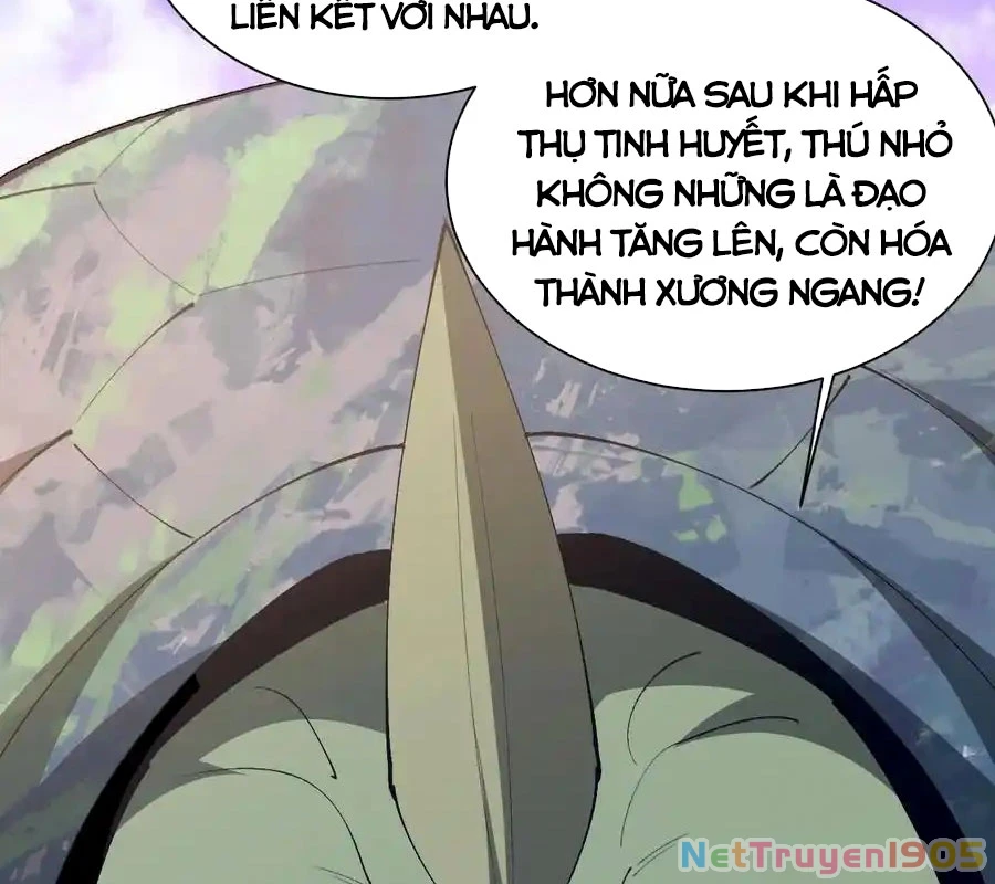 Ngày Tôi Sinh Ra, Bách Quỷ Dạ Hành, Tuyết Thi Hộ Đạo Chapter 794 - 34