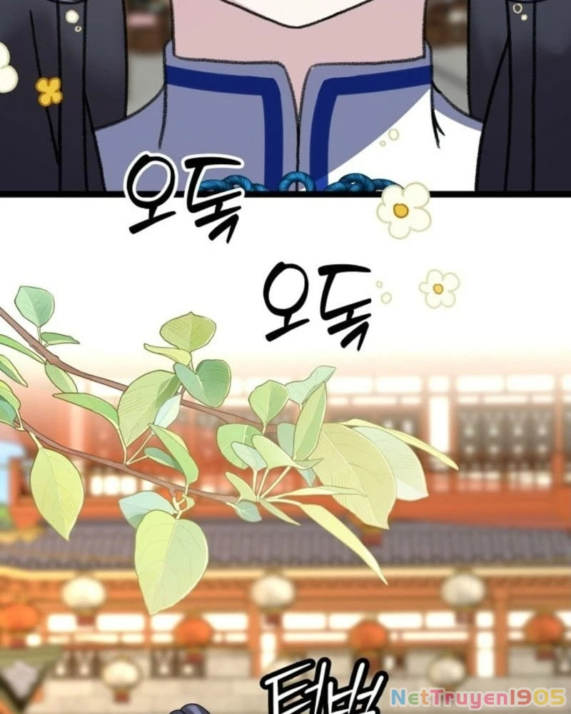 Hồi Sinh Huyết Mạch Nam Cung Chapter 16 - 101