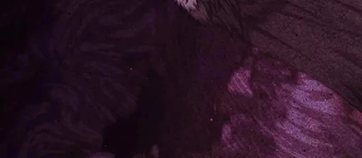 Sát Thủ Tái Sinh Thành Một Kiếm Sĩ Thiên Tài Chapter 74 - 76