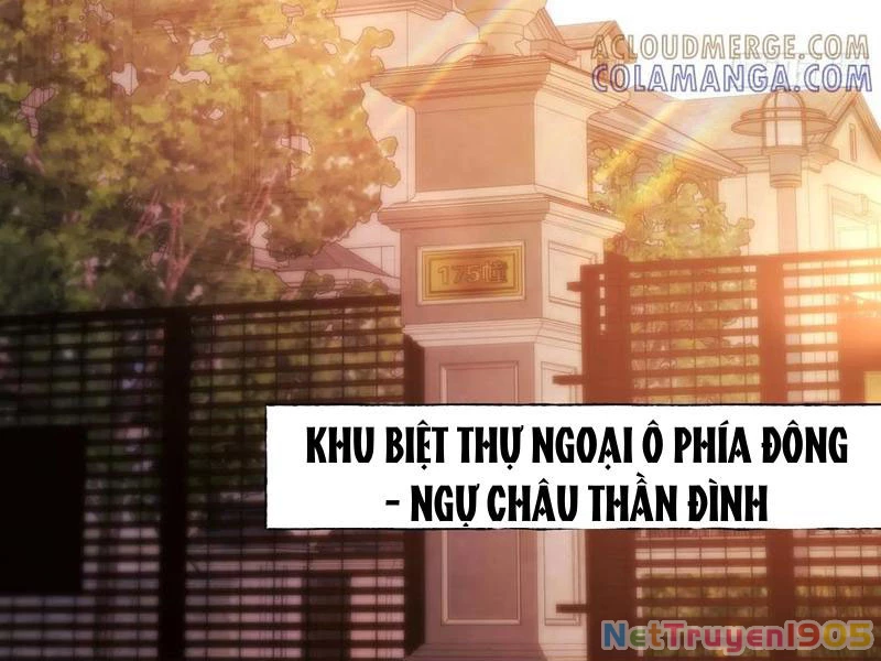 Trọng Sinh Không Làm Chạn Vương, Tôi Một Mình Nạp Game Thăng Cấp Chapter 256 - 63