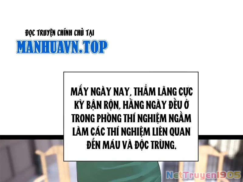 Chàng Rể Mạnh Nhất Lịch Sử Chapter 322 - 50