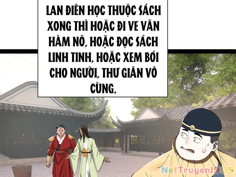 Chàng Rể Mạnh Nhất Lịch Sử Chapter 322 - 55