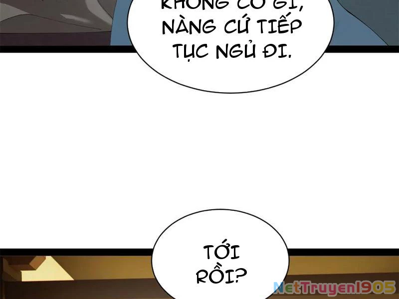 Chàng Rể Mạnh Nhất Lịch Sử Chapter 322 - 67