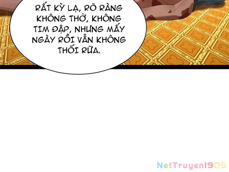 Chàng Rể Mạnh Nhất Lịch Sử Chapter 322 - 71