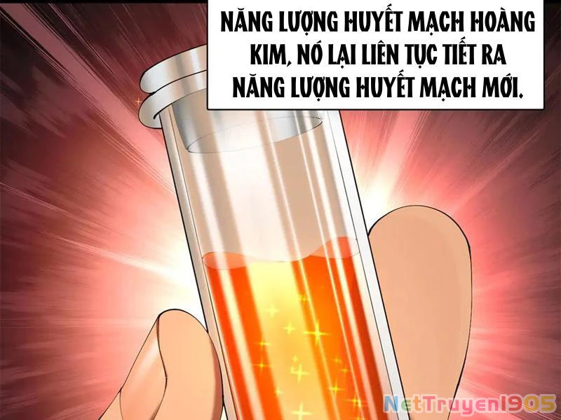 Chàng Rể Mạnh Nhất Lịch Sử Chapter 322 - 97