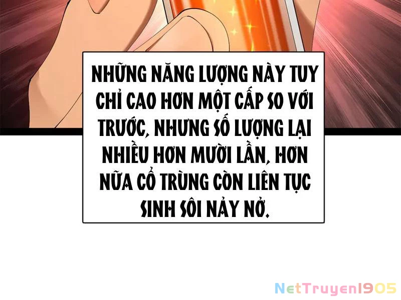 Chàng Rể Mạnh Nhất Lịch Sử Chapter 322 - 98