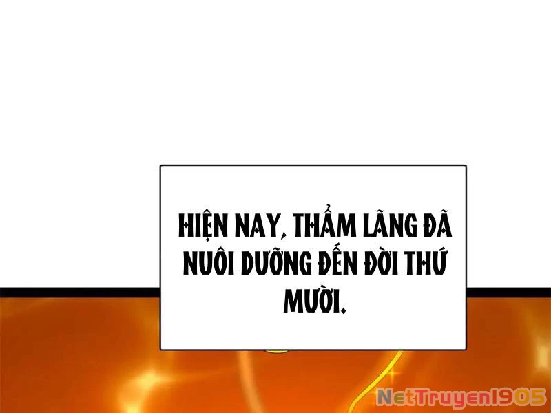 Chàng Rể Mạnh Nhất Lịch Sử Chapter 322 - 99