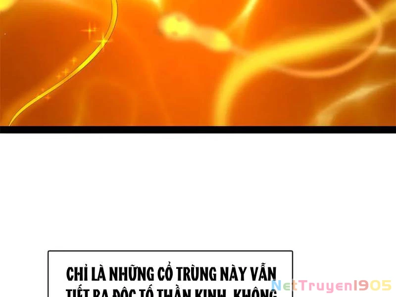 Chàng Rể Mạnh Nhất Lịch Sử Chapter 322 - 101