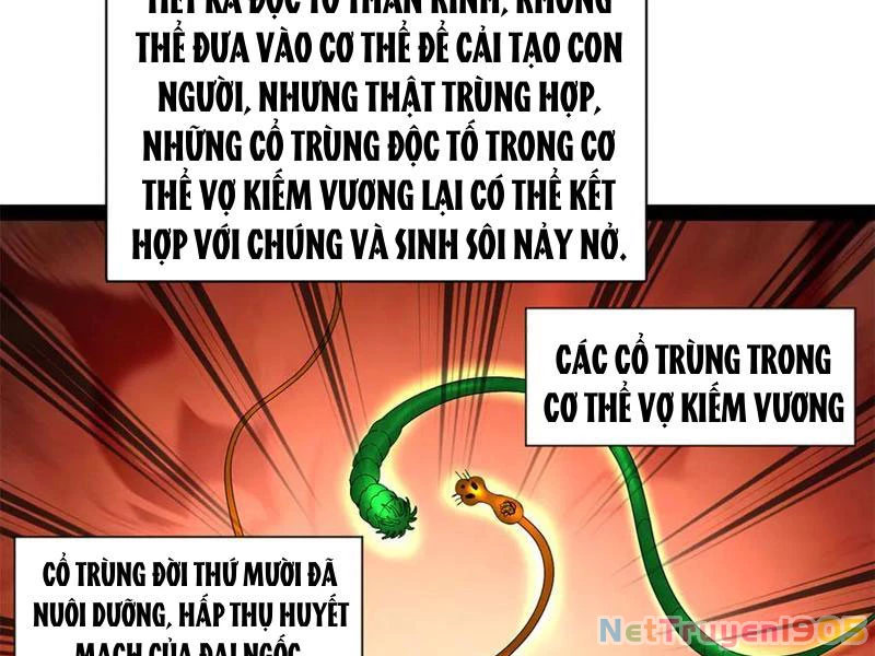 Chàng Rể Mạnh Nhất Lịch Sử Chapter 322 - 102