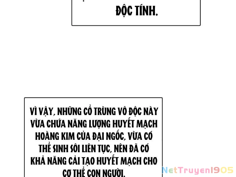 Chàng Rể Mạnh Nhất Lịch Sử Chapter 322 - 104