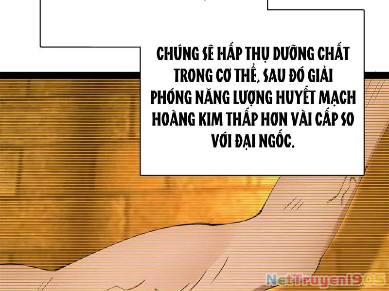 Chàng Rể Mạnh Nhất Lịch Sử Chapter 322 - 105