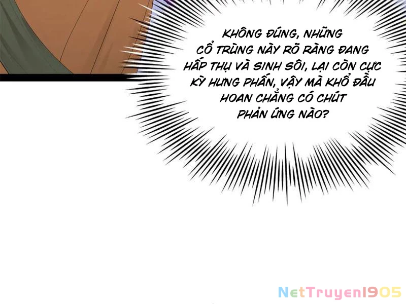 Chàng Rể Mạnh Nhất Lịch Sử Chapter 322 - 122
