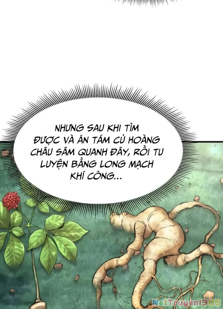 Hồi Quy Tu Tiên Ký Chapter 15 - 161