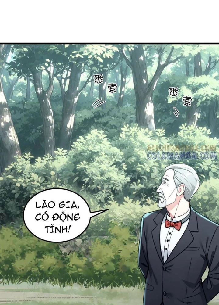Sau Khi Đầu Thai, Ta Được Kẻ Thù Khắc Thành Vô Địch Chapter 12 - 55