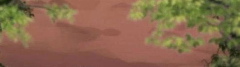 Mạt Thế Hậu Cần Chapter 54 - 69