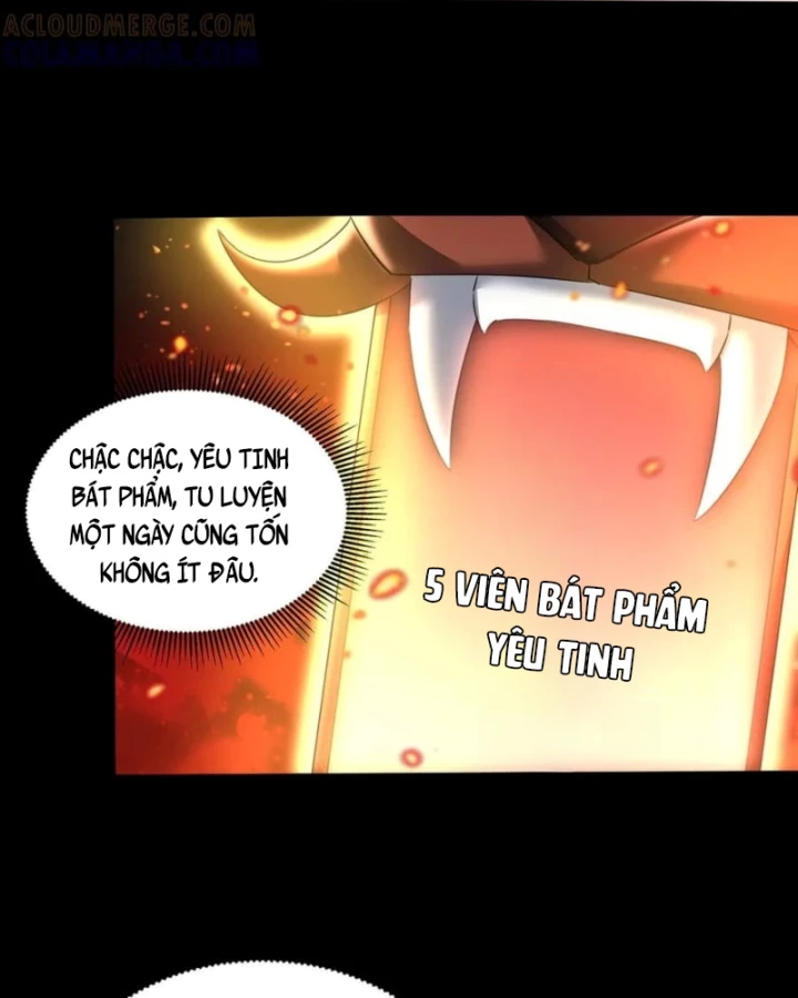 Các Nữ Sư Tôn Đều Muốn Chiếm Hữu Ta Chapter 30 - 16
