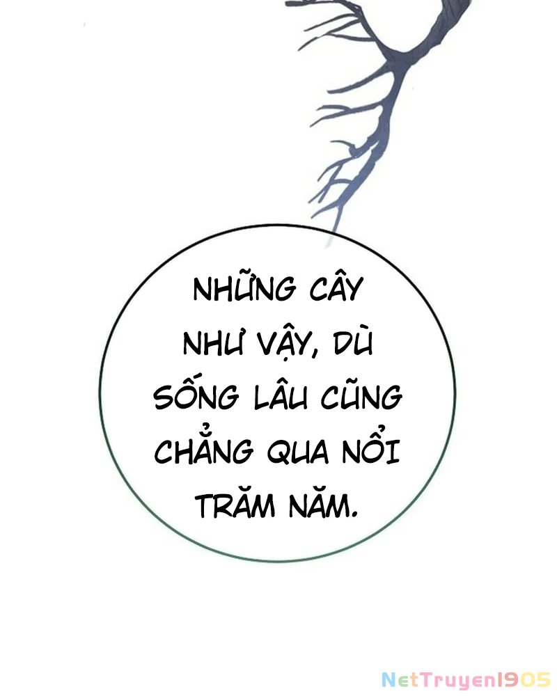 Hồi Sinh Huyết Mạch Nam Cung Chapter 20 - 32