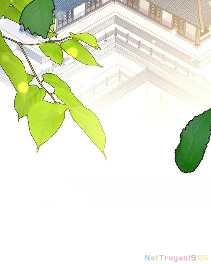 Hồi Sinh Huyết Mạch Nam Cung Chapter 20 - 46