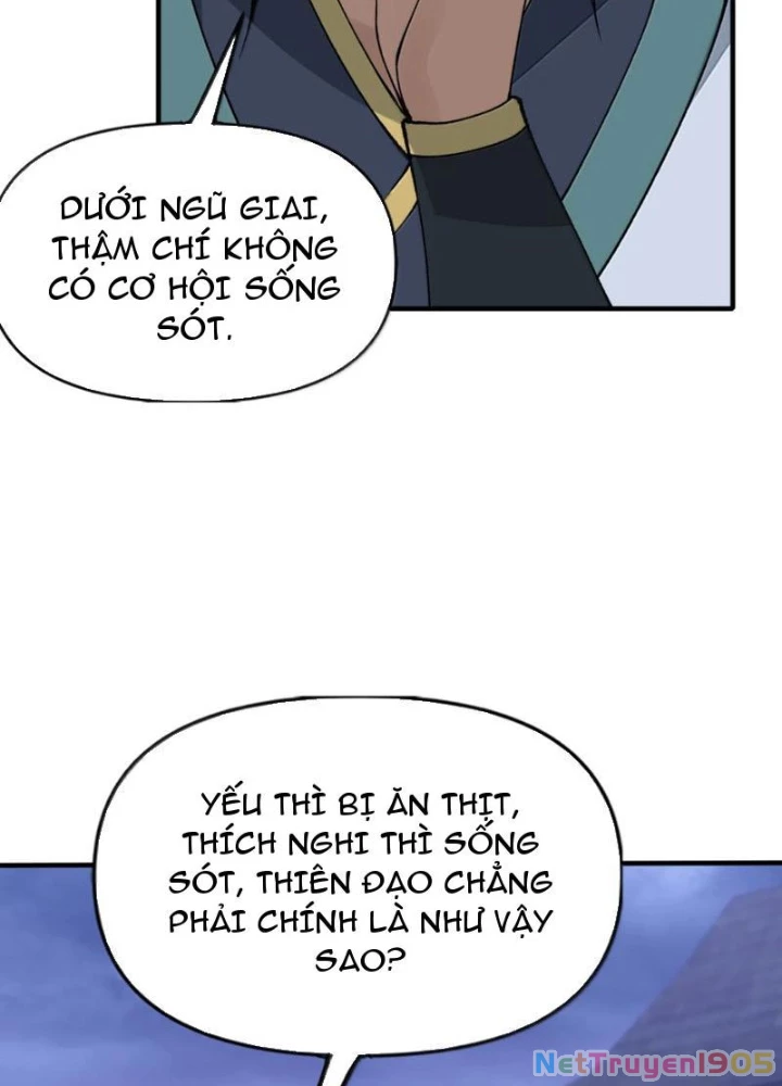 Thiên Đạo Này Cũng Không Ngốc Lắm Chapter 156 - 79