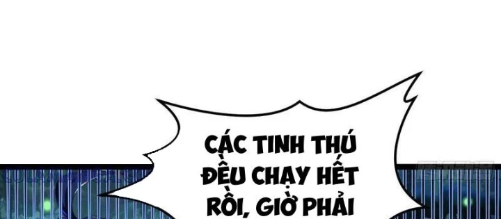 Tinh Thú Sư Mạnh Nhất Chapter 23 - 28