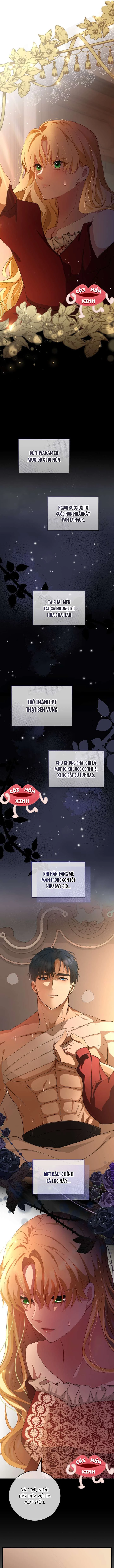 Lời Cầu Hôn Hoang Dã Chapter 5 - 8