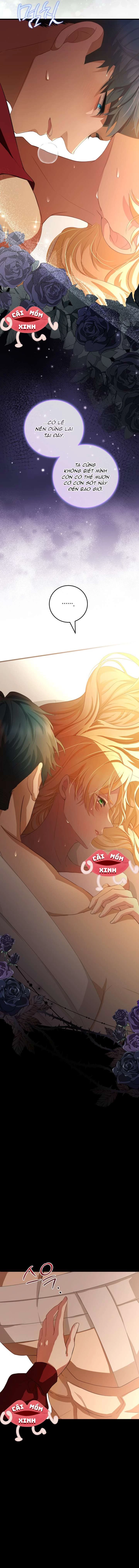 Lời Cầu Hôn Hoang Dã Chapter 5 - 13