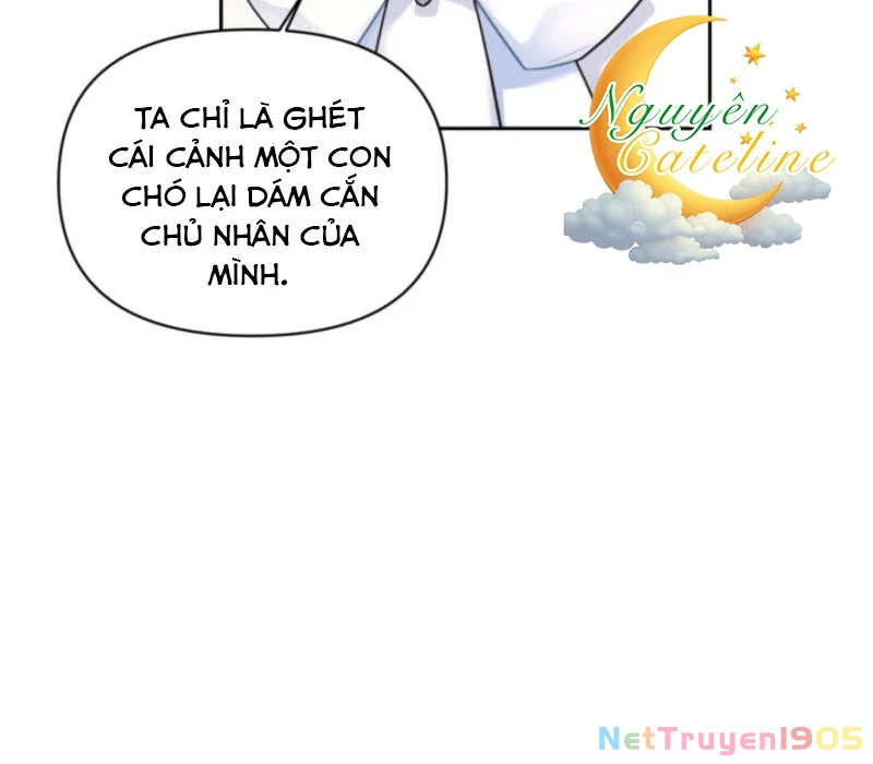 Chị Gái – Từng Ghét Tôi – Nay Lại Hết Mực Cưng Chiều Chapter 12 - 19