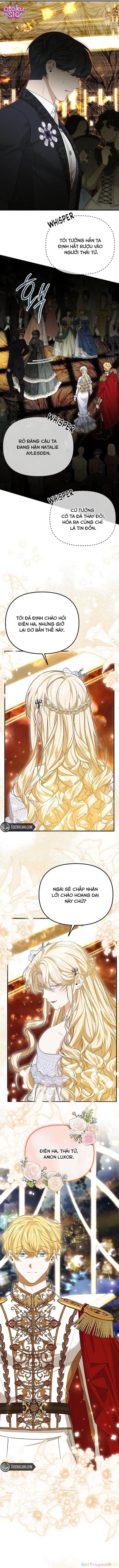 Tôi Không Thích Thể Loại Harem Ngược Chapter 11 - 13