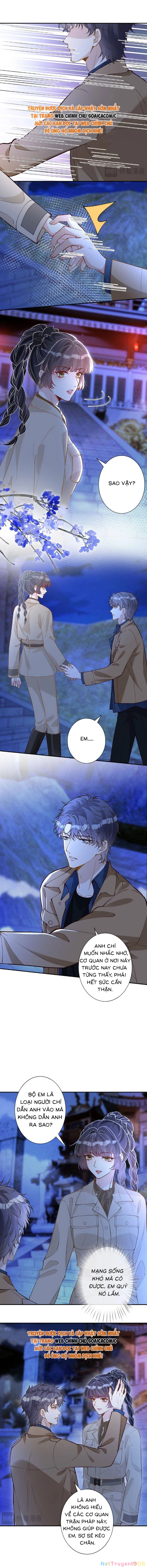 Ôm Khẩn Tiểu Mã Giáp Của Tôi Chapter 378 - 2