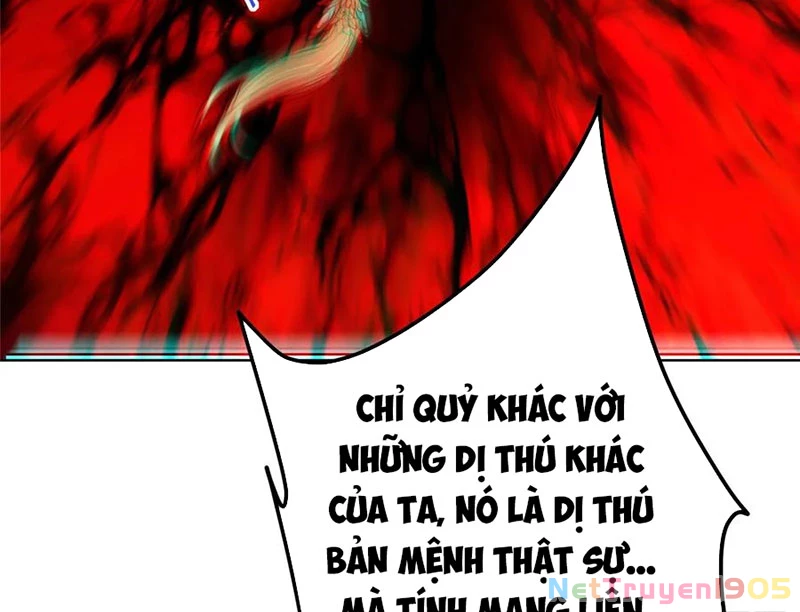 Chưởng Môn Khiêm Tốn Chút Chapter 541 - 13