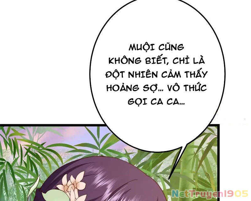 Chưởng Môn Khiêm Tốn Chút Chapter 541 - 43