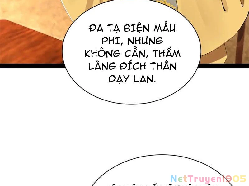 Chàng Rể Mạnh Nhất Lịch Sử Chapter 323 - 17