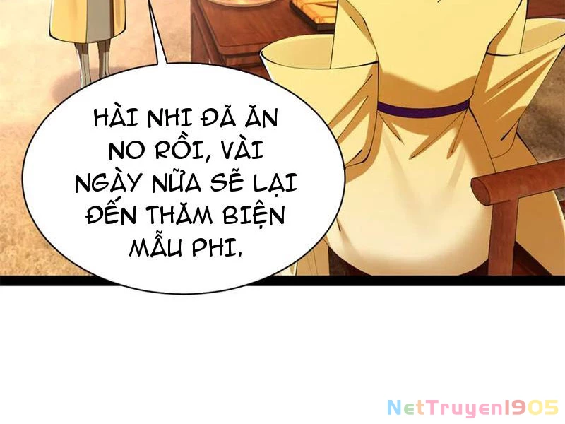 Chàng Rể Mạnh Nhất Lịch Sử Chapter 323 - 29