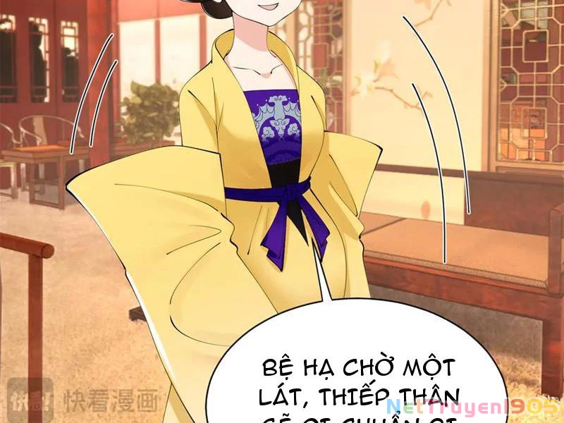 Chàng Rể Mạnh Nhất Lịch Sử Chapter 323 - 36