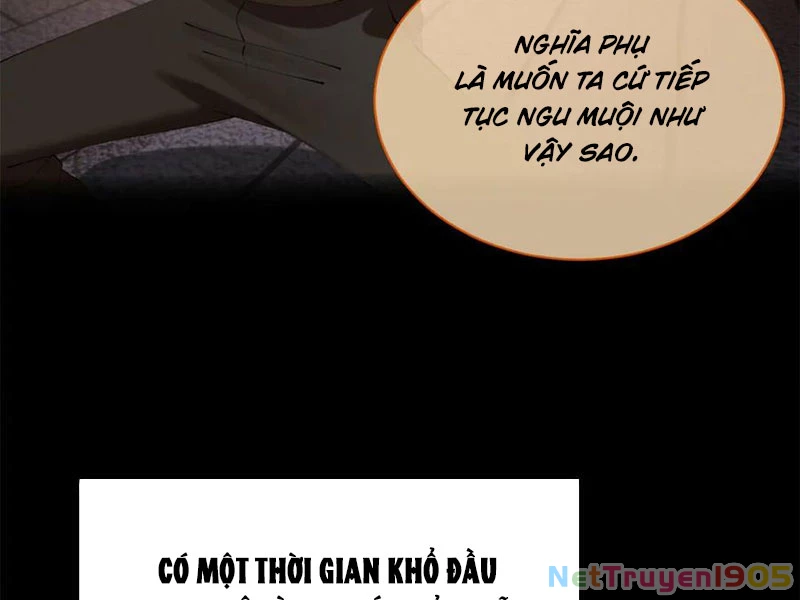 Chàng Rể Mạnh Nhất Lịch Sử Chapter 323 - 46