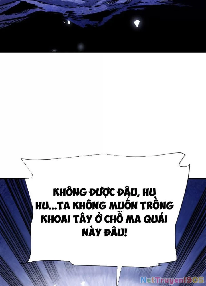 Bói Toán Mà Thôi, Cửu Vĩ Yêu Đế Sao Lại Thành Nương Tử Ta?! Chapter 87 - 119