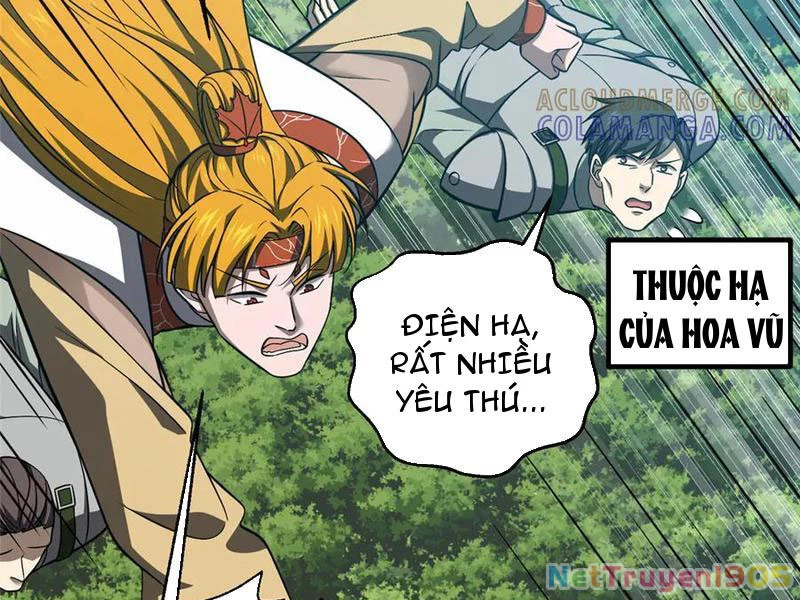 Toàn Cầu Cao Võ Chapter 325 - 51