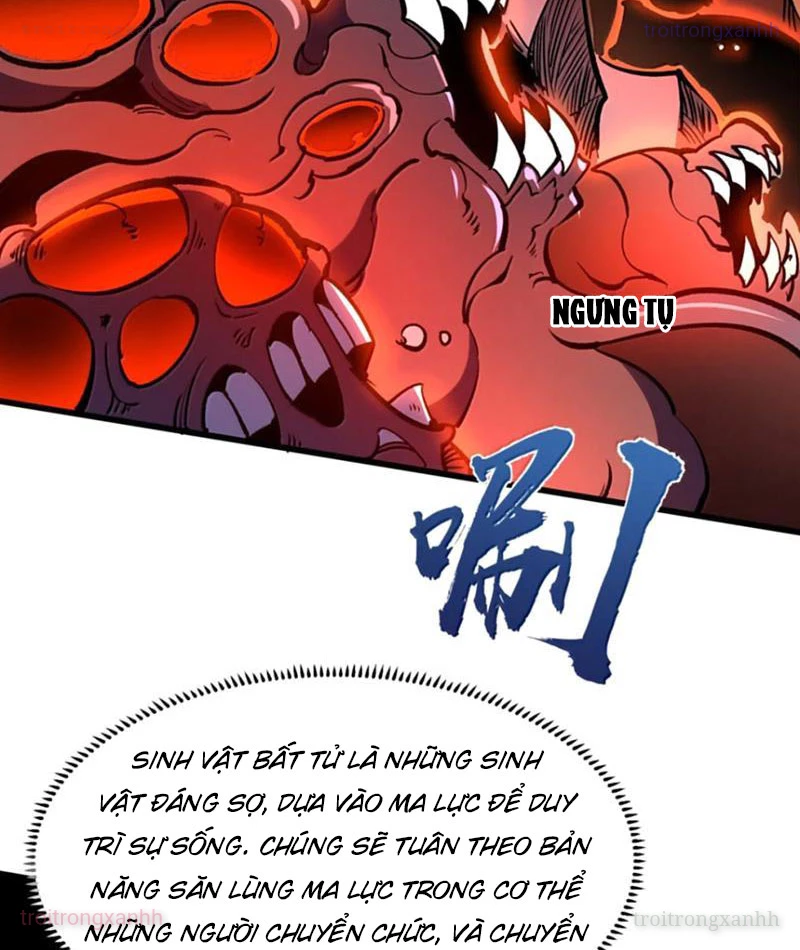 Ta Nhặt Rác Thượng Vương Giả Chapter 78 - 49