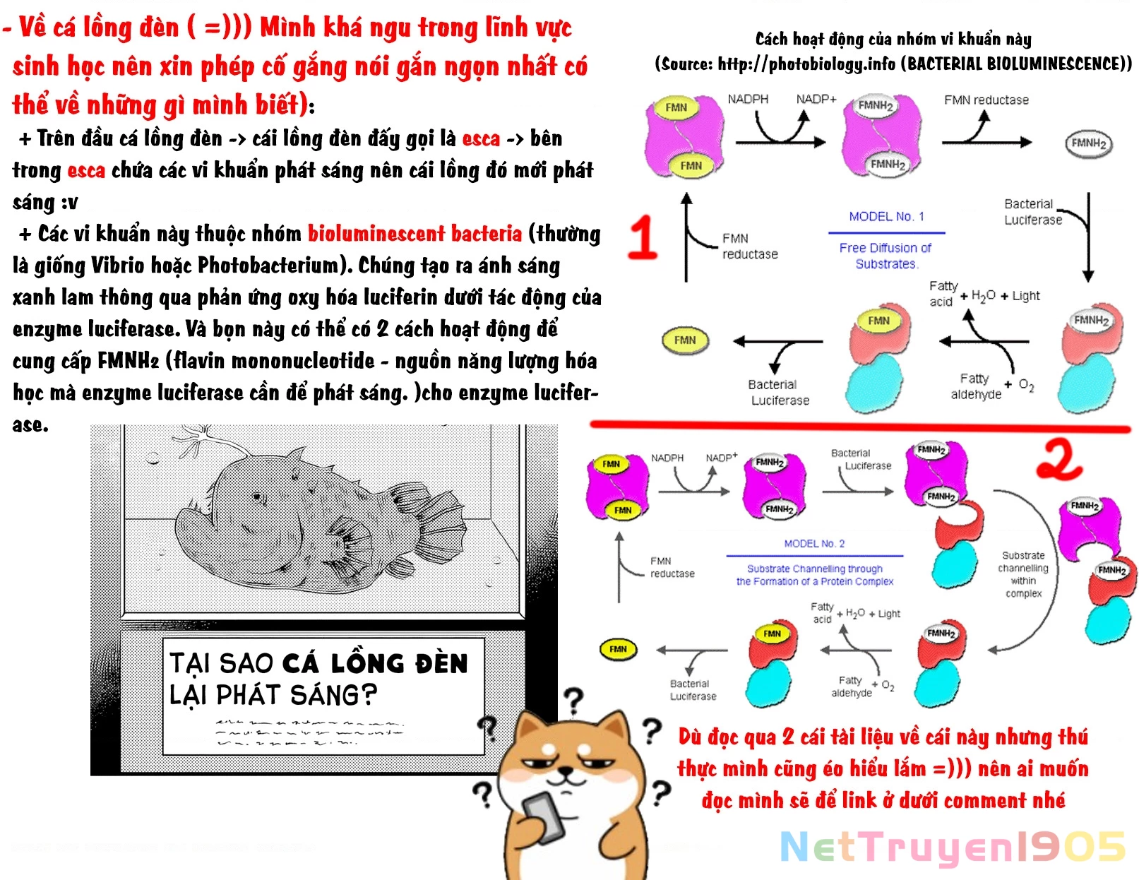 Cô bạn trầm tính bàn bên hóa ra lại là ca sĩ mà tôi mến mộ ~ Bài hát này của tôi, hãy hát lên đi nào! Chapter 4 - 32