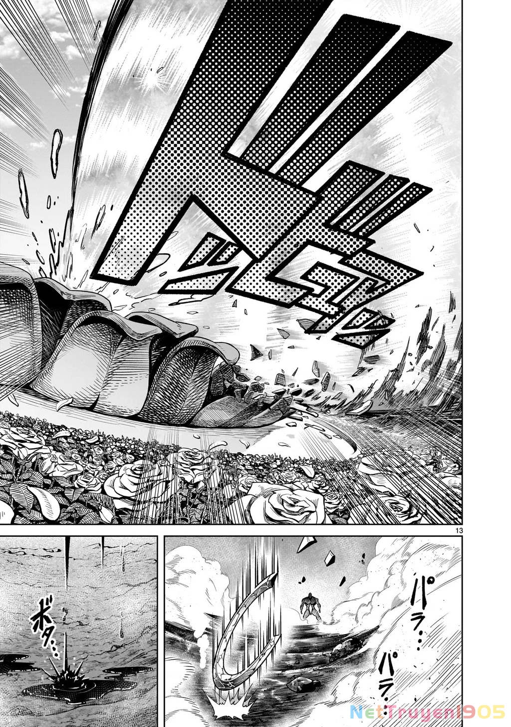 Rosen Garten Saga Chapter 76.2 - 11