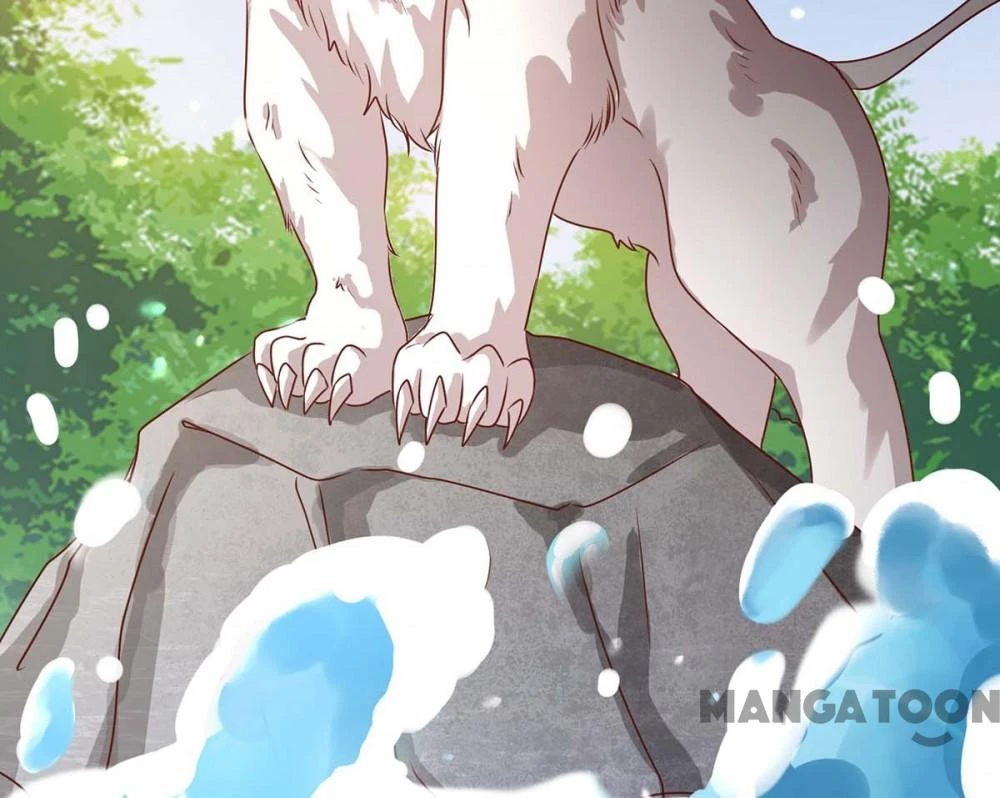 Thú Thế Cuồng Phi: Bất Đương Dị Giới Nữ Hải Vương Chapter 127 - 14