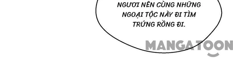 Thú Thế Cuồng Phi: Bất Đương Dị Giới Nữ Hải Vương Chapter 159 - 12