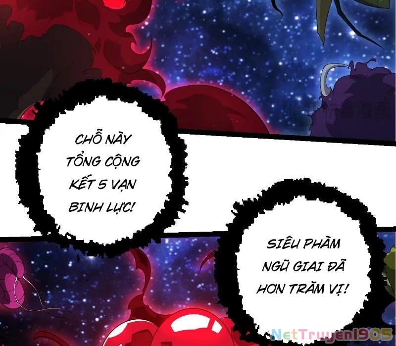 Chuyển Sinh Thành Liễu Đột Biến Chapter 416 - 11
