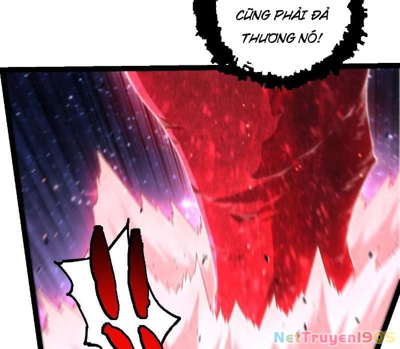 Chuyển Sinh Thành Liễu Đột Biến Chapter 416 - 13